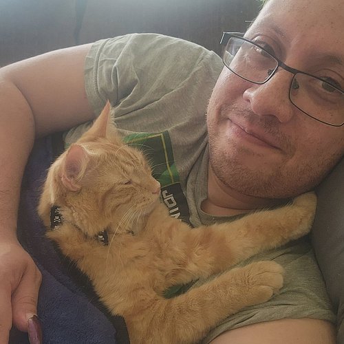 How I have been spending my Saturday. How's your Saturday going? 
#cat #cats #catsofinstagram #orangecat #chillvibes #caturday