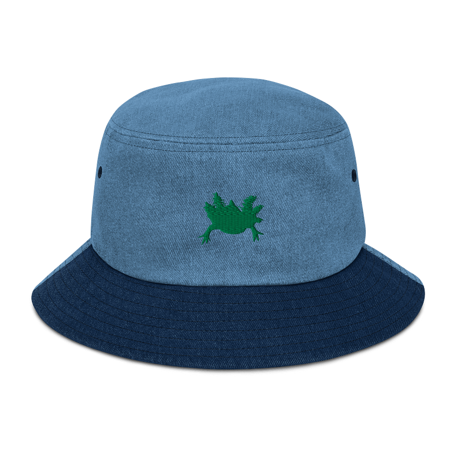 jean axolotl hat color:green product image (1)