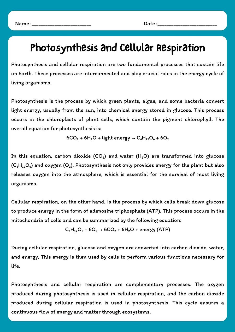 Photosynthesis and Cellular Respiration Reading Comprehension Passage with Questions product image (1)