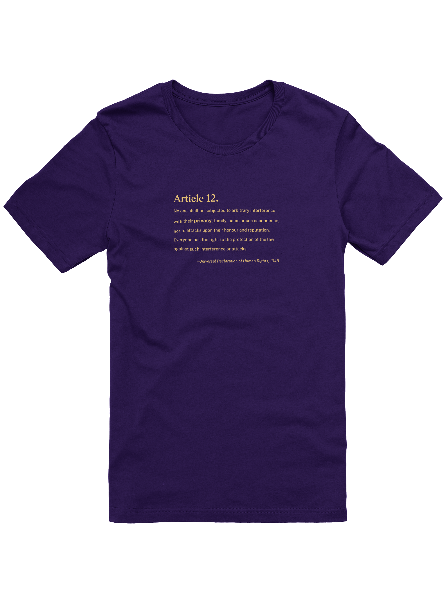 Article 12 - Supersoft T-Shirt (Bella+Canvas) product image (1)