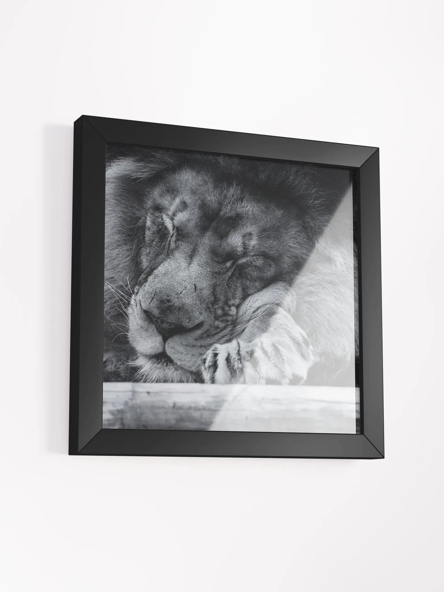 The Sleeping King product image (21)