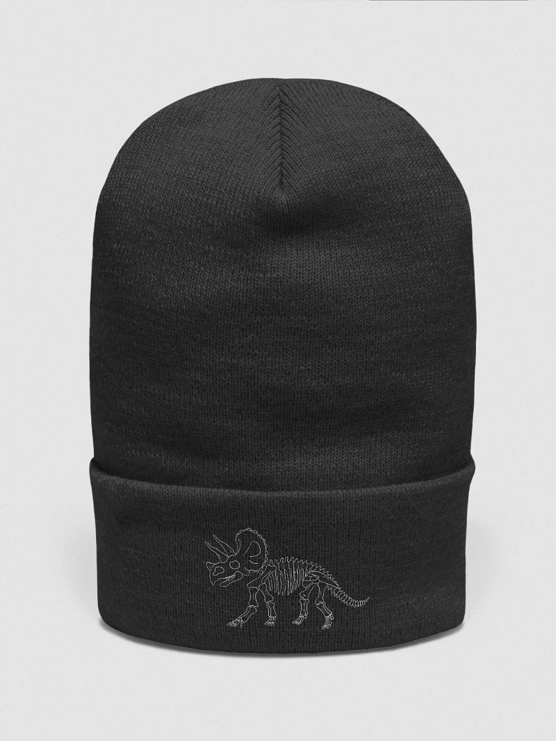 dino skeleton beanie