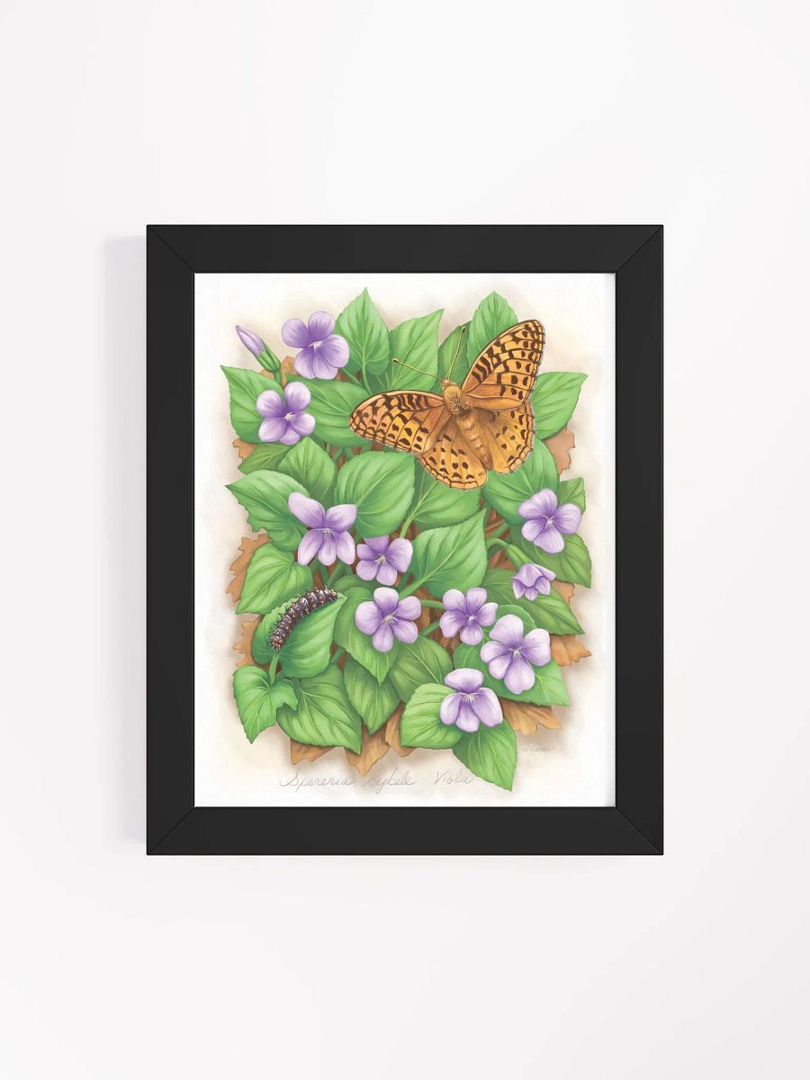Fritillary Butterfly & Caterpillar product image (41)