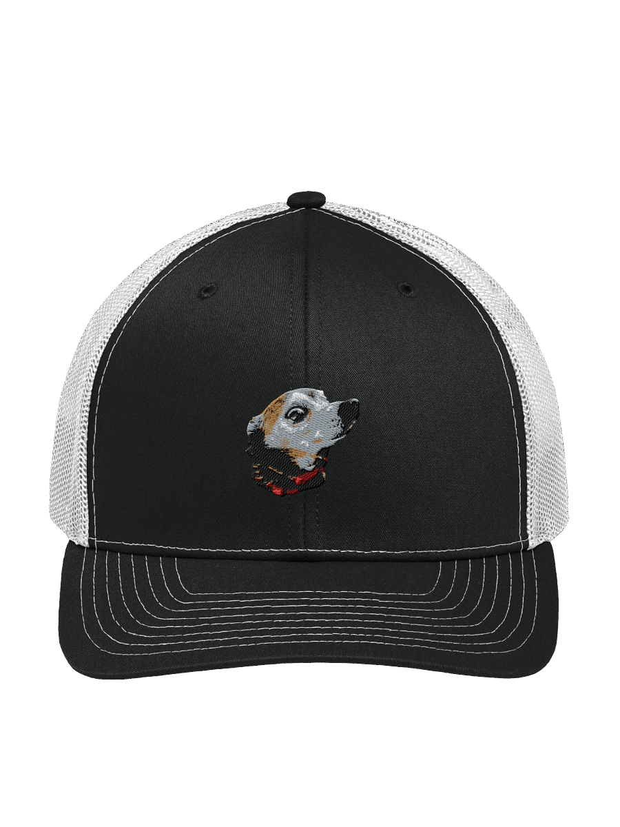 Fox Trucker Hat product image (19)