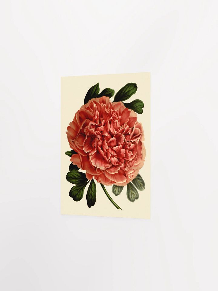 Red Blossom Poster Print product image (3)