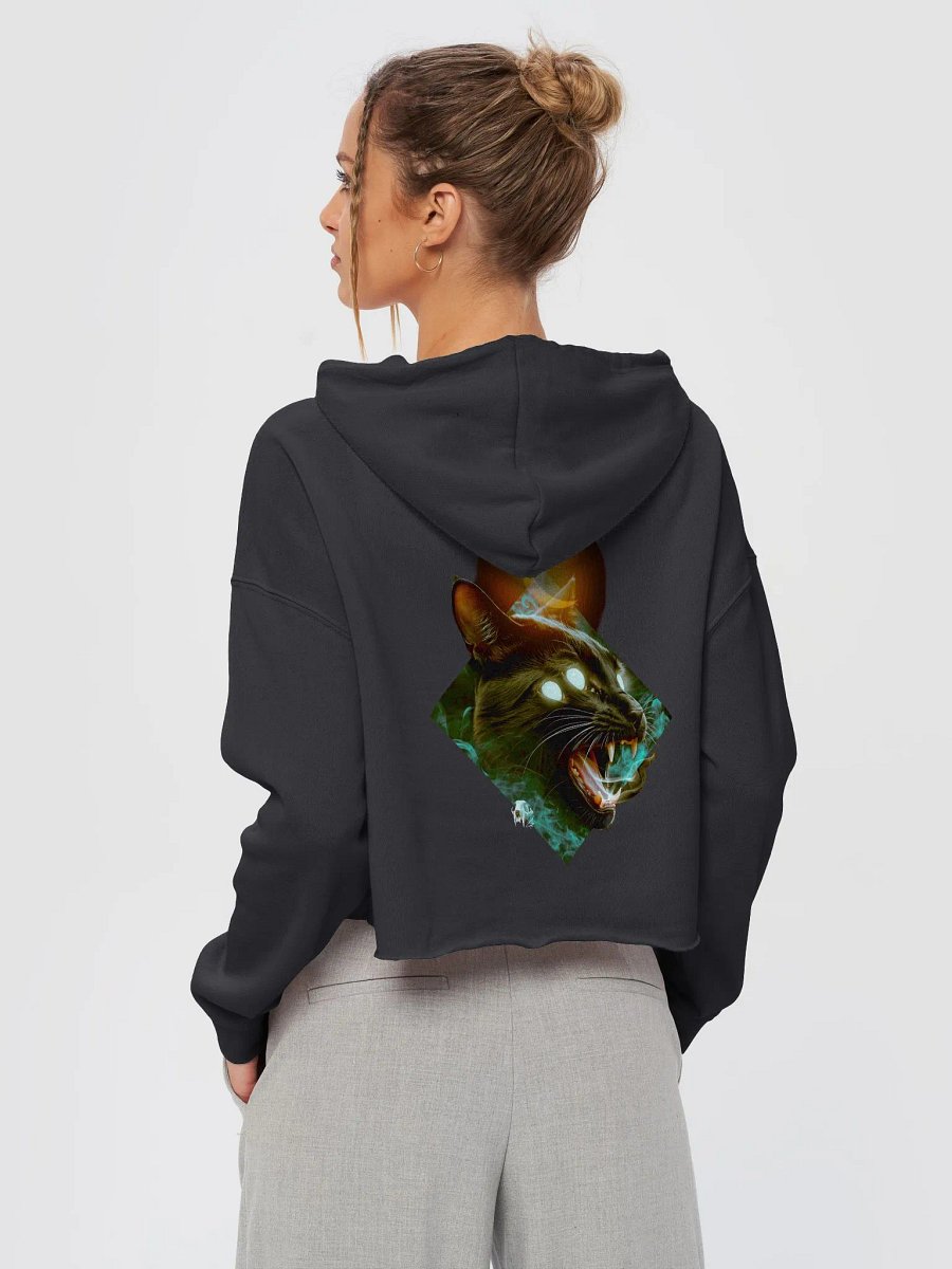 Charmed Cropped Hoodie product image (3)
