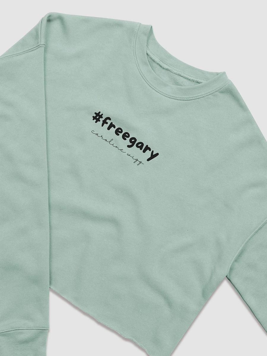 Free Gary Crop Sweatshirt - Light Colours product image (5)