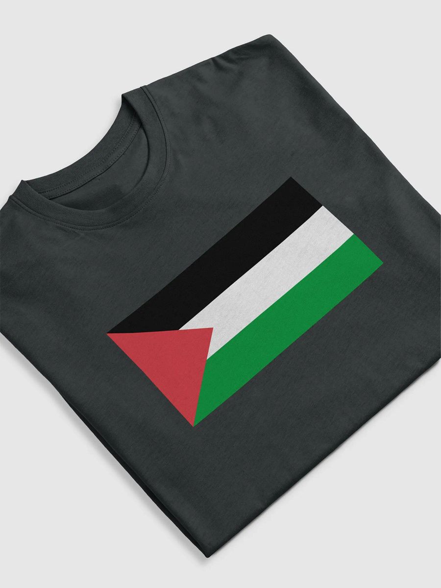 Palestine T-Shirt - Big Flag product image (5)