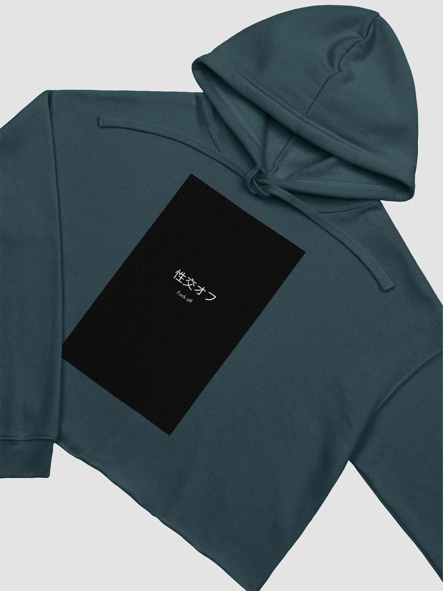 Japanese Insult Crop Hoodie product image (20)