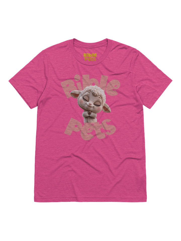 Tabby Praying Adult T-Shirt product image (9)
