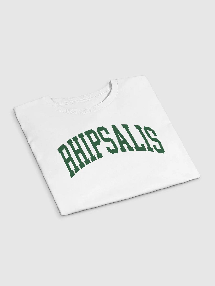RHIPSALIS varsity crop top product image (5)