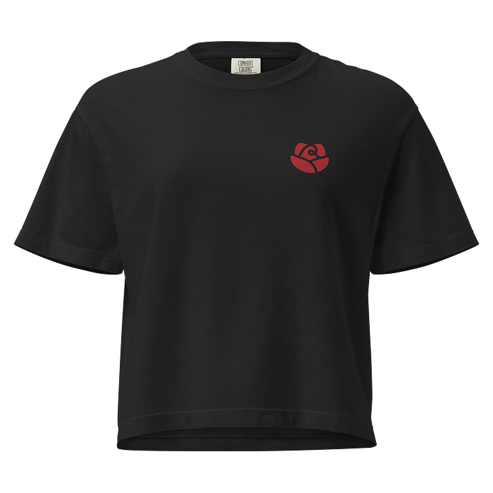 Comfort Colors Women's Heavyweight Boxy T-Shirt product image (3)