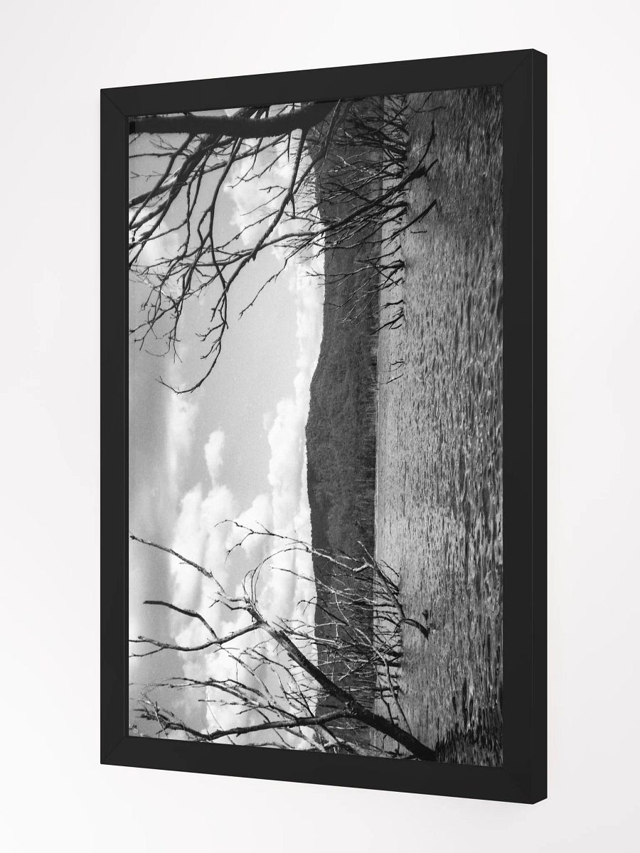Advancetown Lake Landscape product image (2)