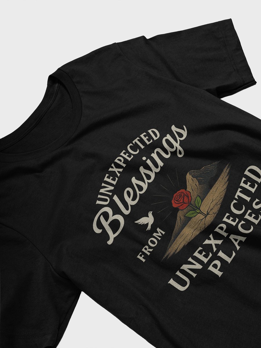 Unexpected Blessings T-Shirt product image (25)