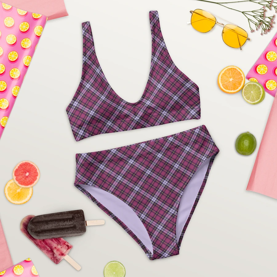 Bright Purple Plaid Bikini product image (9)