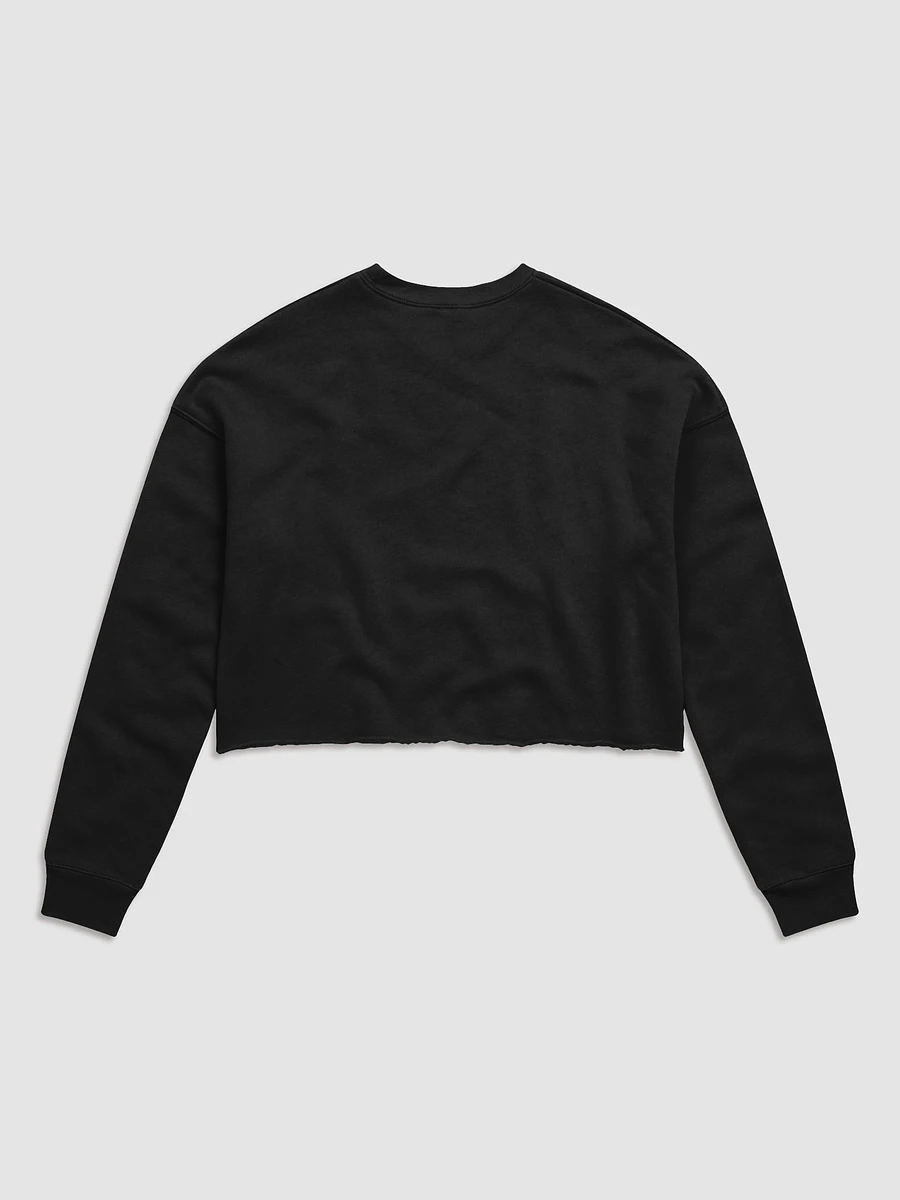 A-Set Fleece Crop Sweater product image (17)