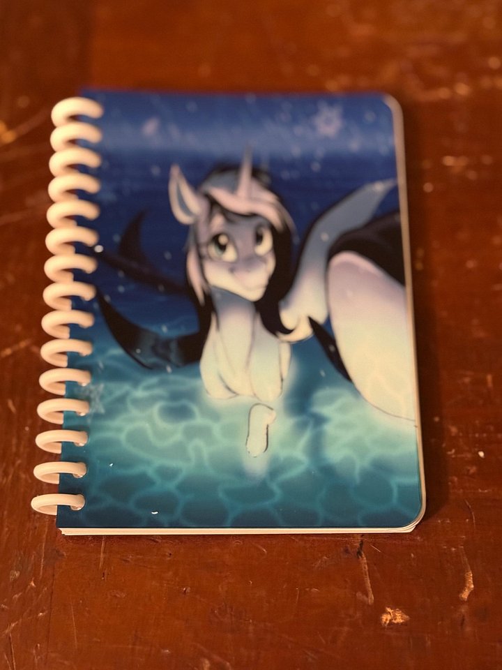 Shouka Sketchbook product image (1)