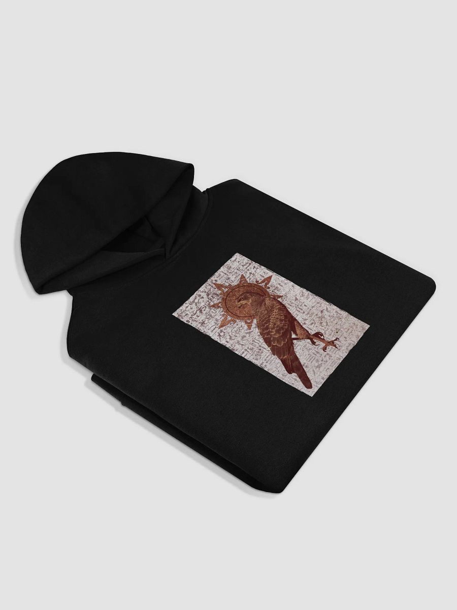 My God is the Sun Hoodie product image (4)