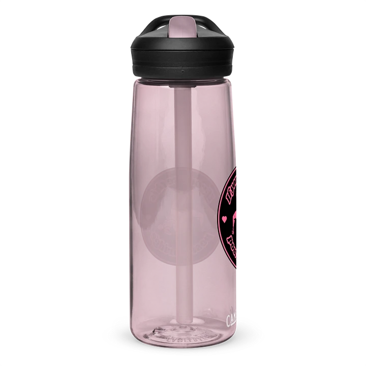 Post a Bridge CamelBak product image (110)