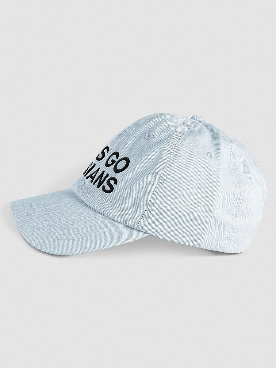 Let's Go Lesbians Pastel Dad Hat product image (11)