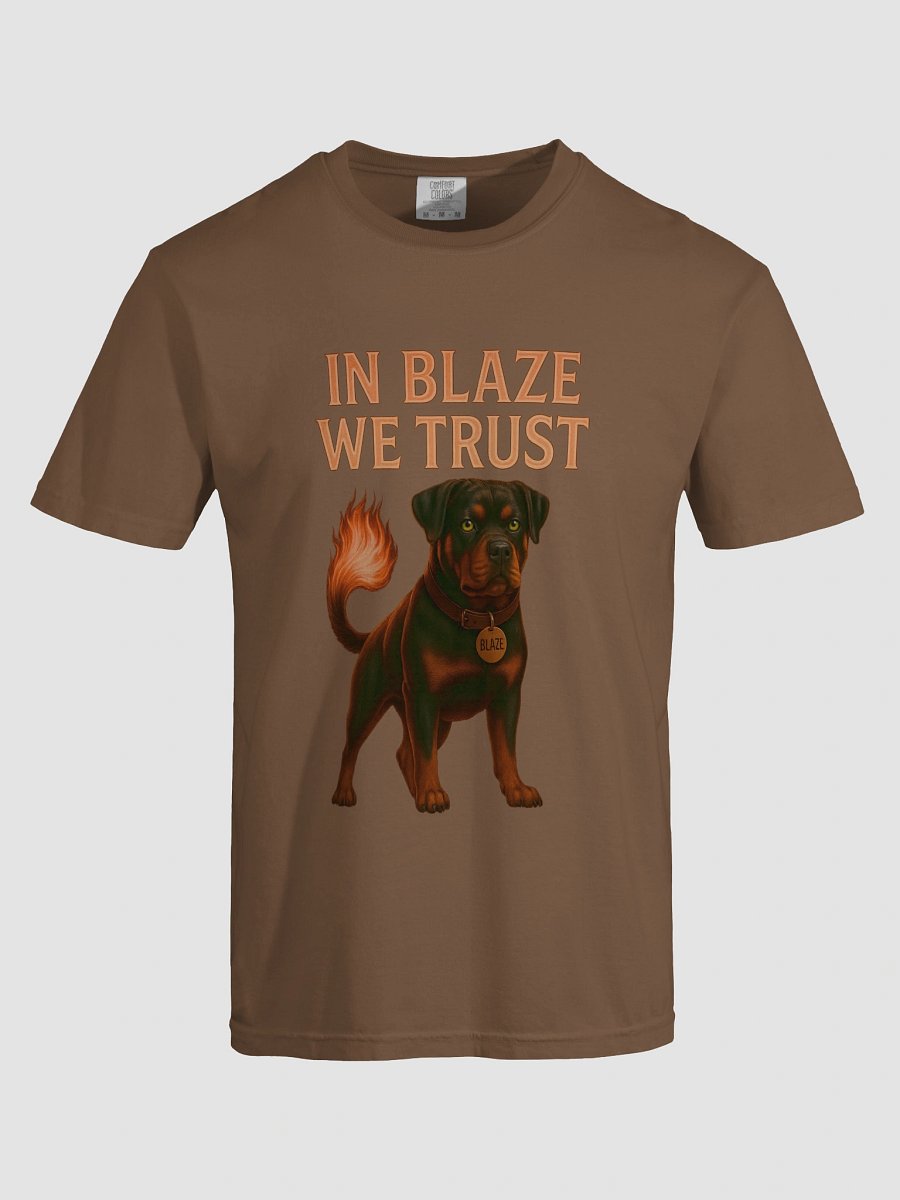 In Blaze We Trust- T-Shirt product image (17)