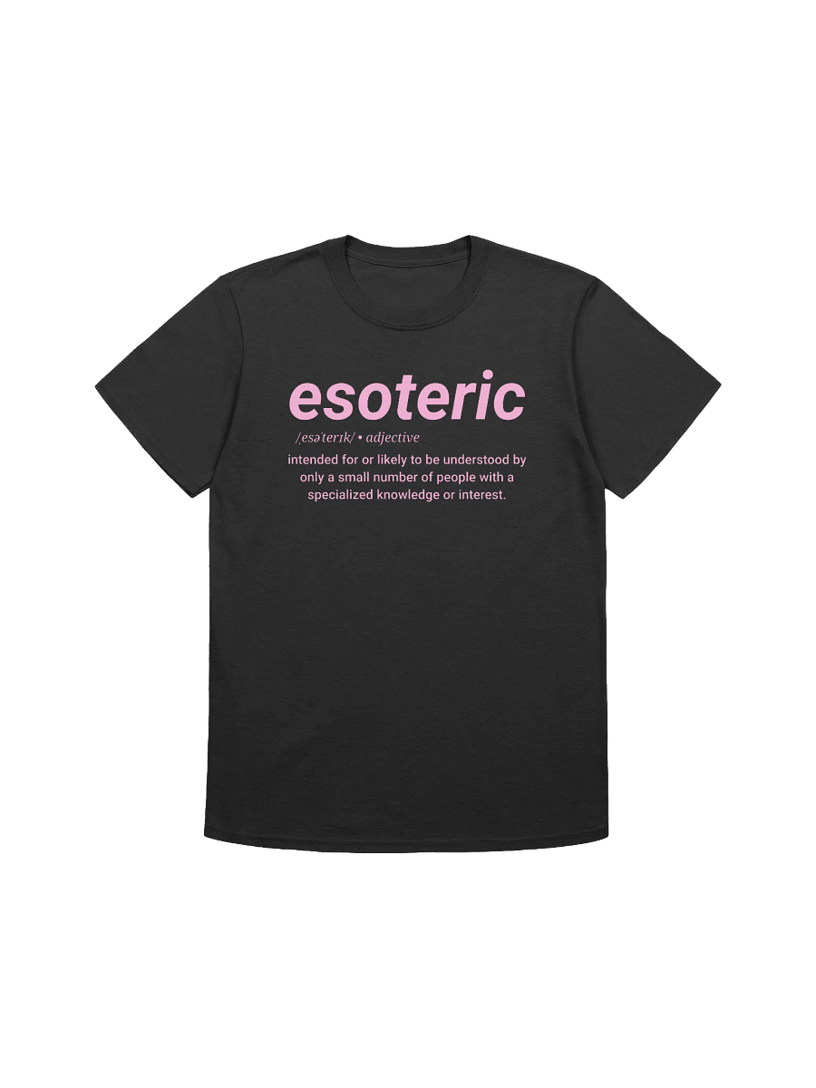 Esoteric Definition Tee (pink) product image (1)