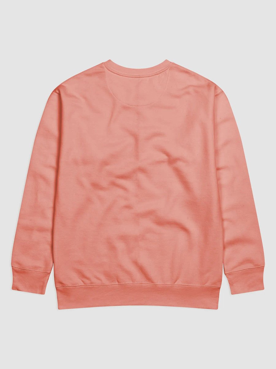 I HAVE ISD Premium Sweatshirt product image (4)