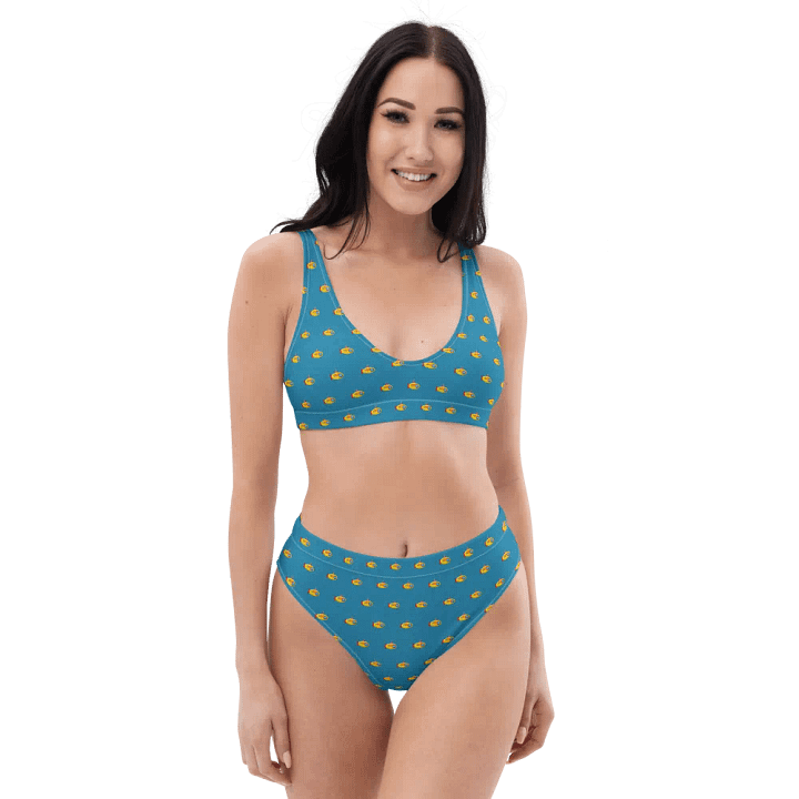 MSLA Sub Series - High Waisted Bikini product image (2)
