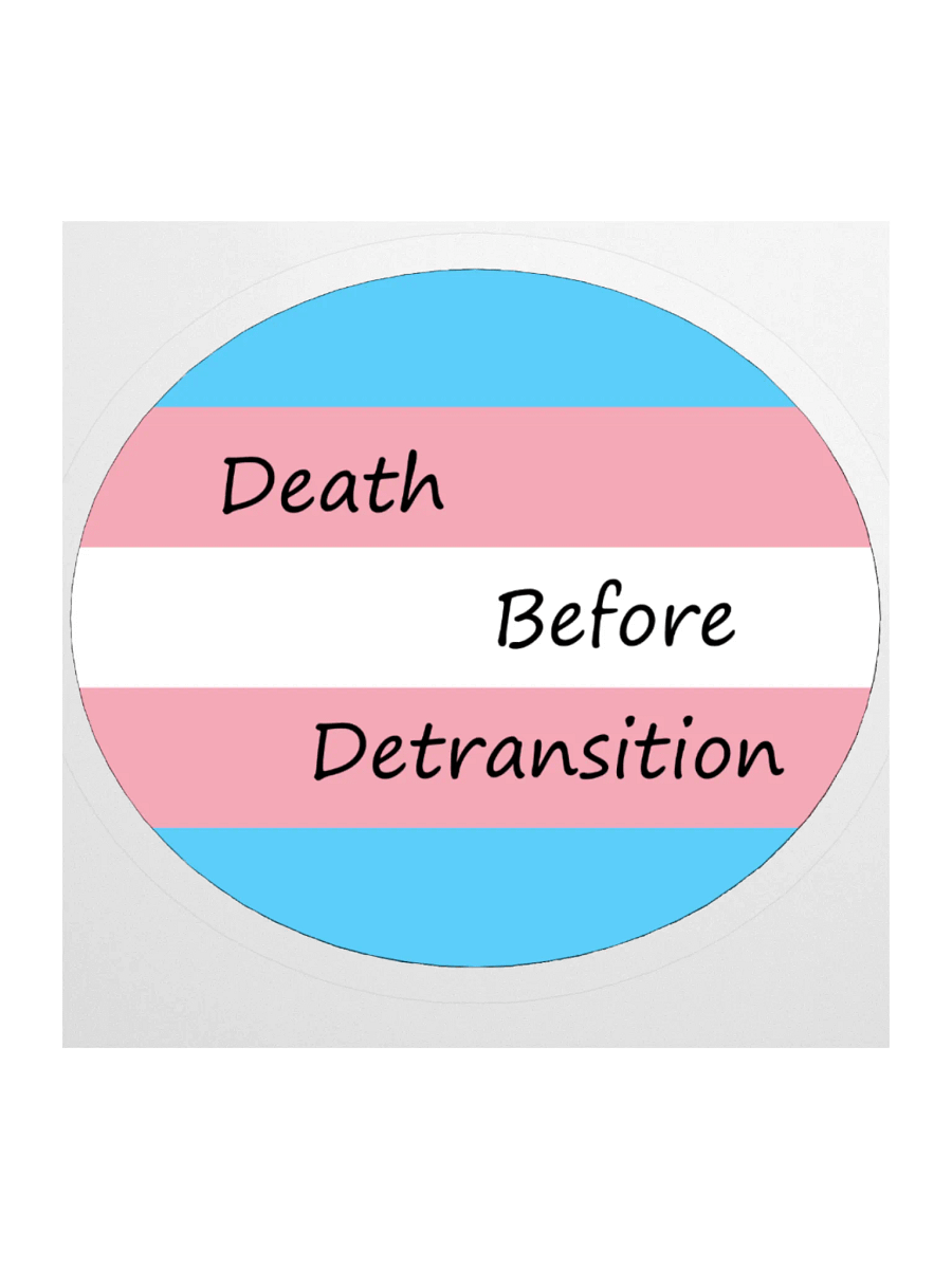 Death Before Detransition Sticker product image (1)
