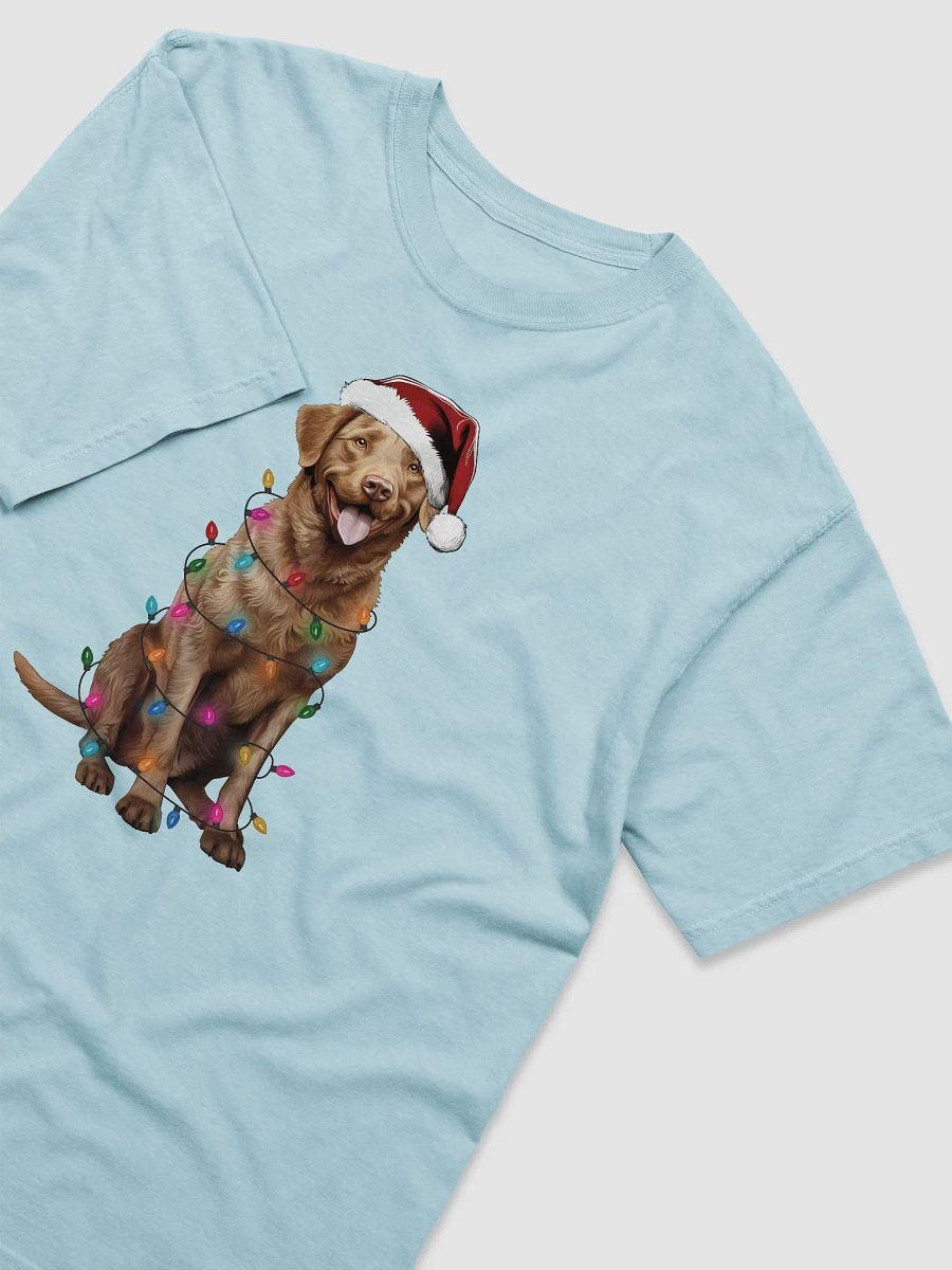 Funny Chesapeake Bay Retriever Christmas T-Shirt for Chesapeake Bay Retriever Paw-rents product image (16)