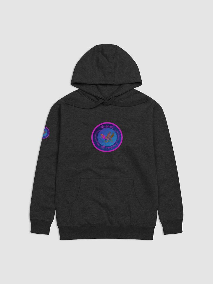 My Friends are All Imaginary Unisex Hoodie product image (3)