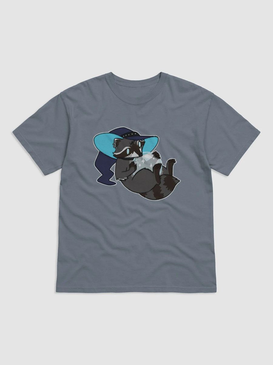 Raccoon Fortune product image (2)