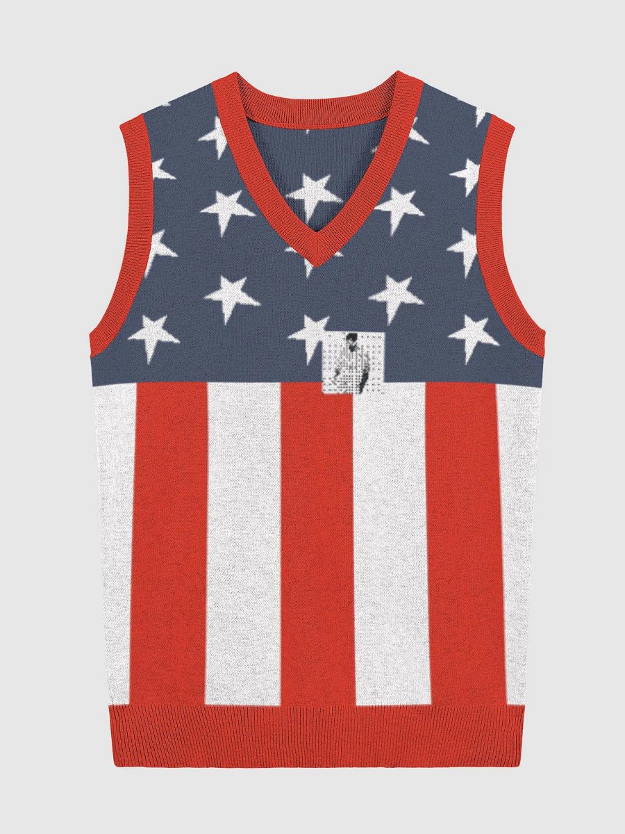 Knitted V-Neck Vest product image (2)