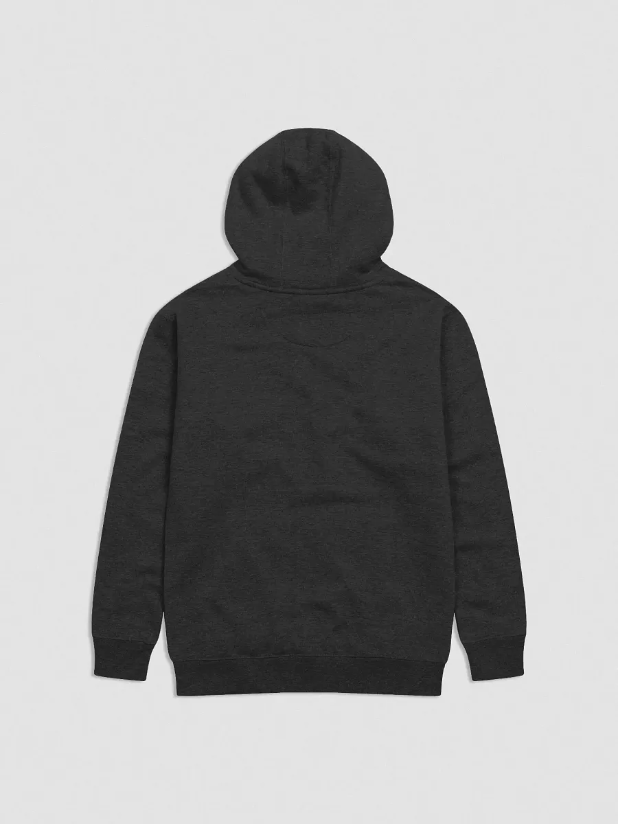 Embroidered Canada map hoodie product image (2)