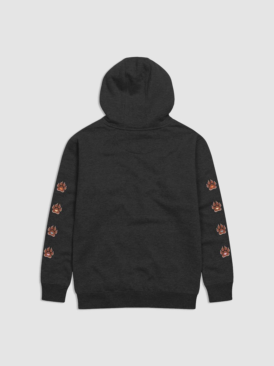 Little Lion Gamer Signature Hoodie product image (10)