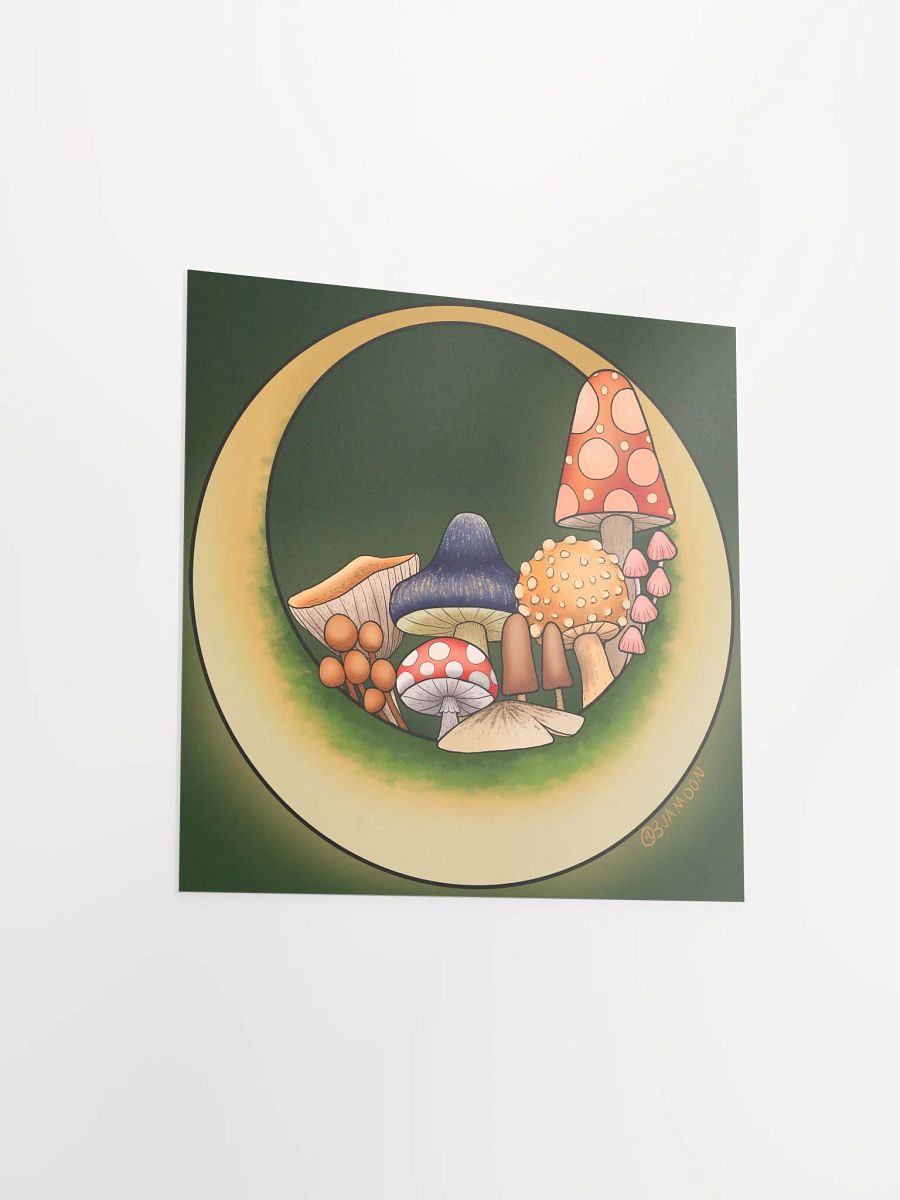 Moonie Shrooms Poster Print product image (7)
