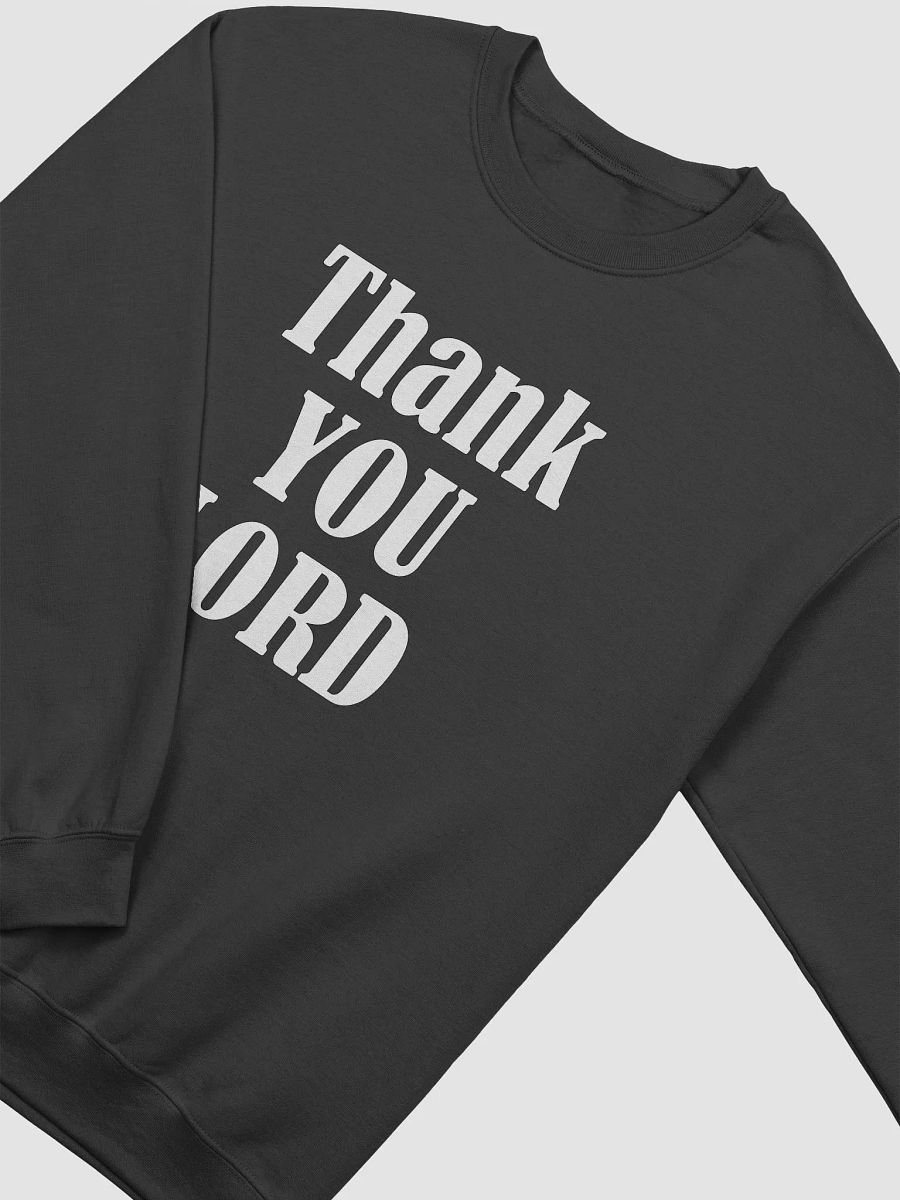 THANK YOU, LORD, product image (28)