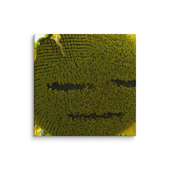 Disappointed Sunflower Canvas product image (2)
