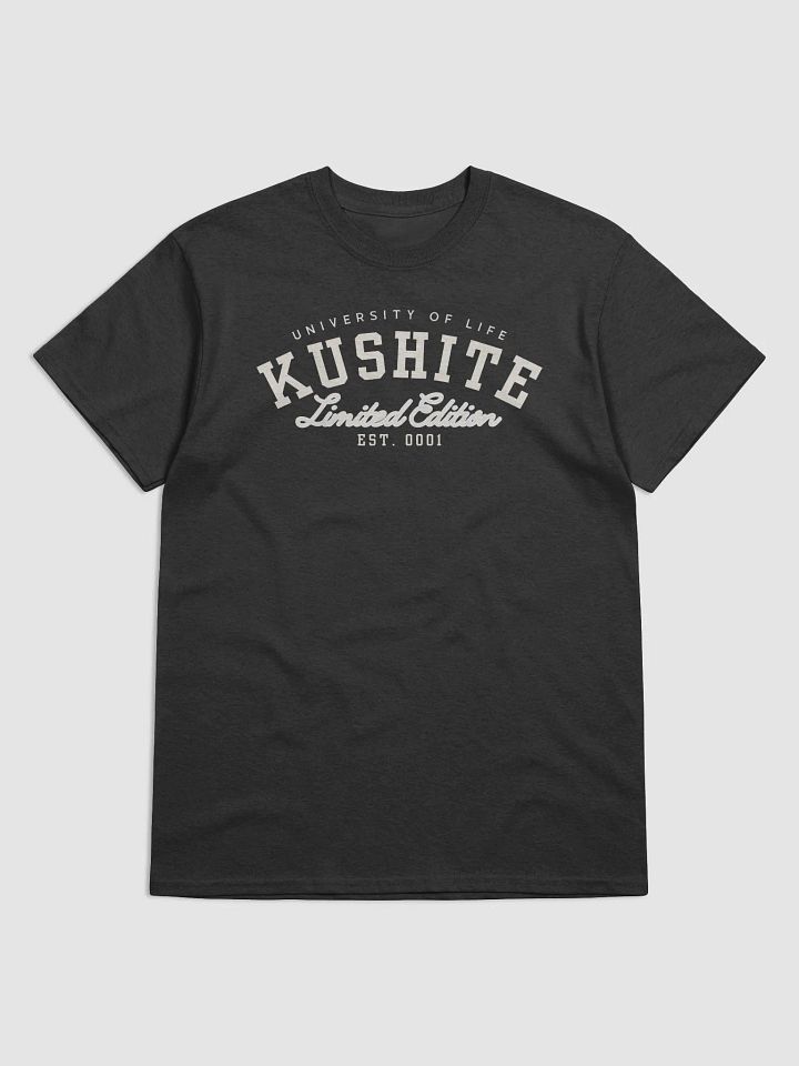 Kushite University product image (1)