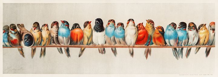 Vintage Art Download - Hector Giacomelli, A Perch of Birds product image (1)