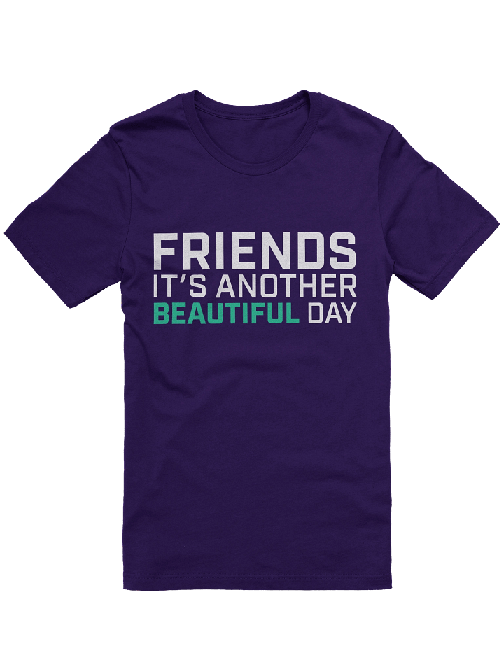 Friends... Purple T-Shirt product image (1)