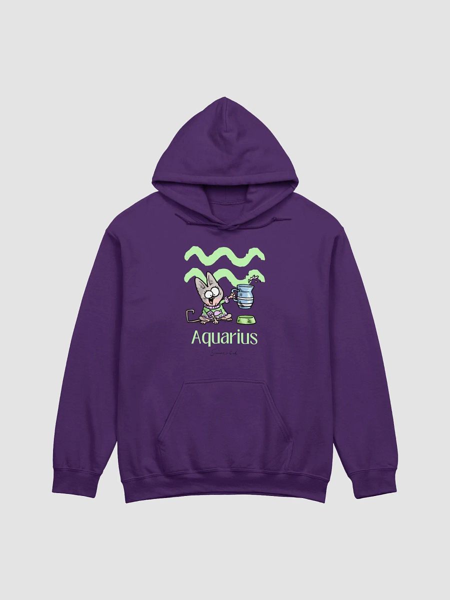 Aquarius Kitten Hoodie product image (3)
