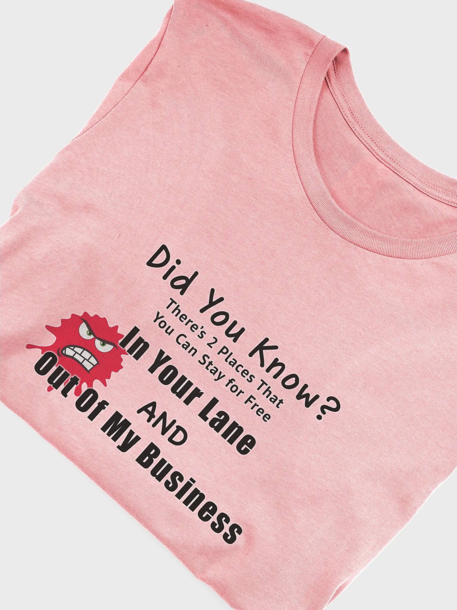 Did You Know T-shirt product image (3)