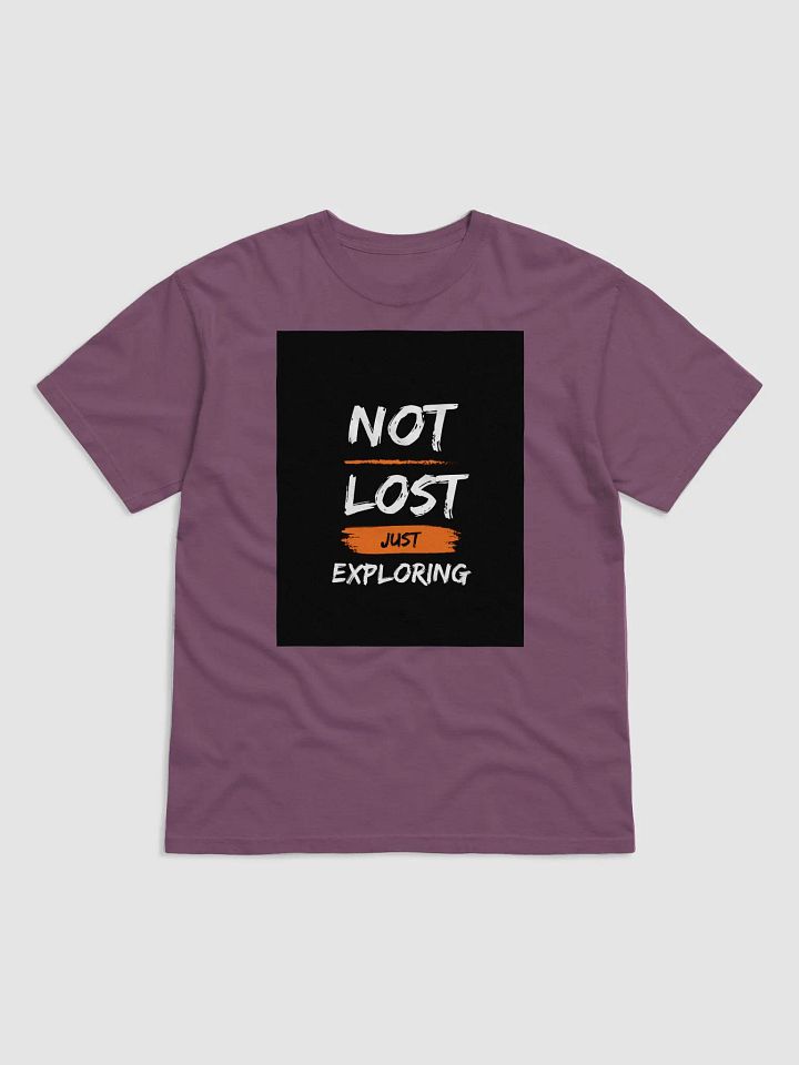 Explore & Embrace T-Shirt product image (8)