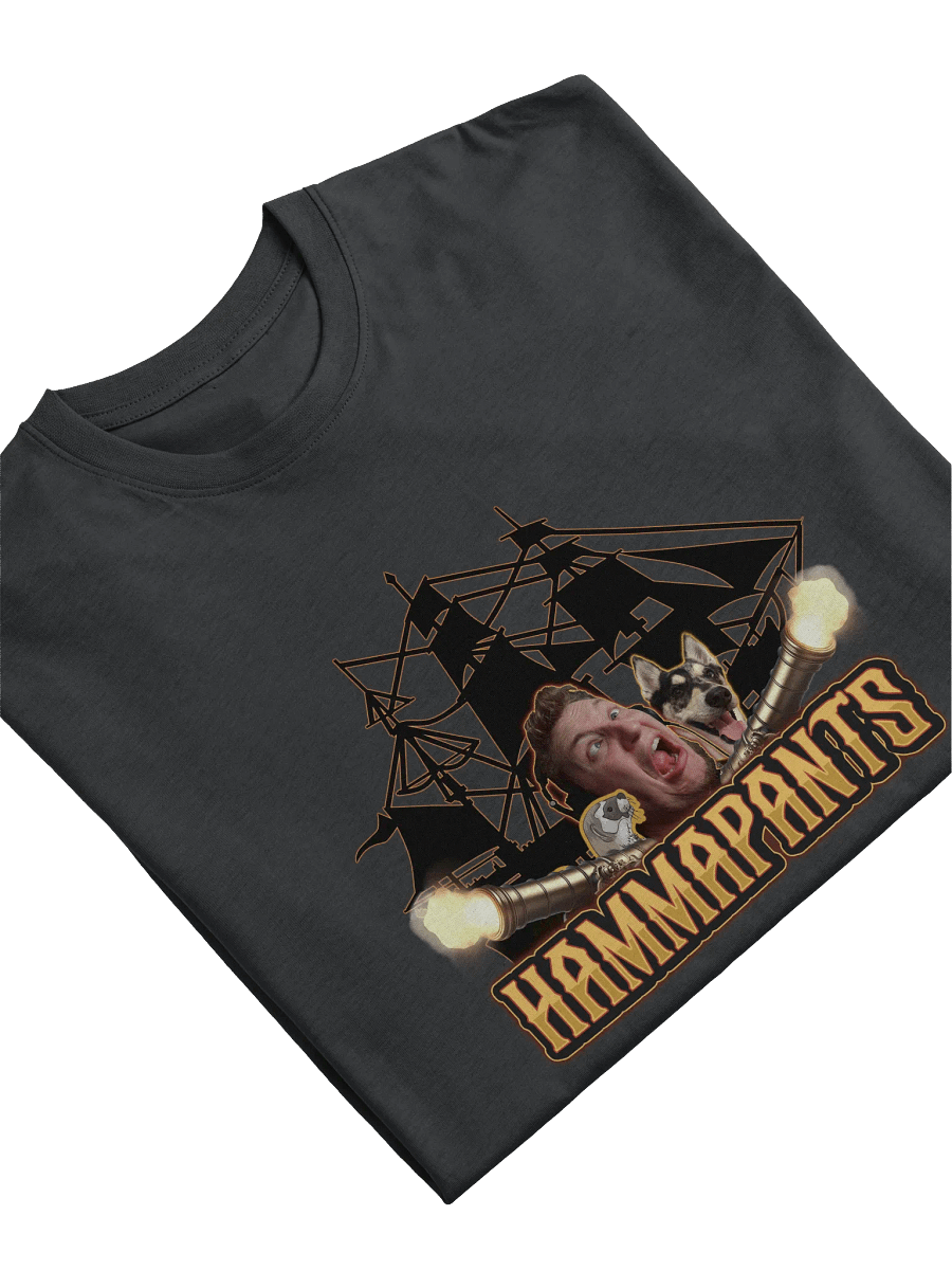HP Chaos Ship Premium Heavyweight Tee product image (5)
