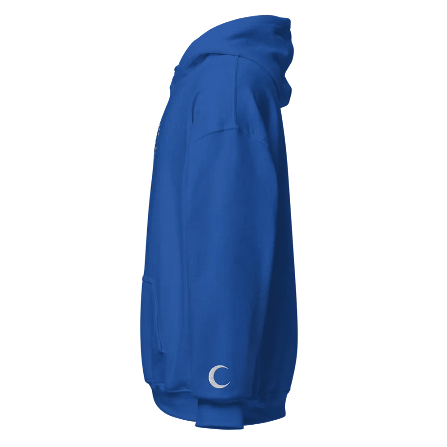 Embroidered "Malfunction" Hoodie product image (5)