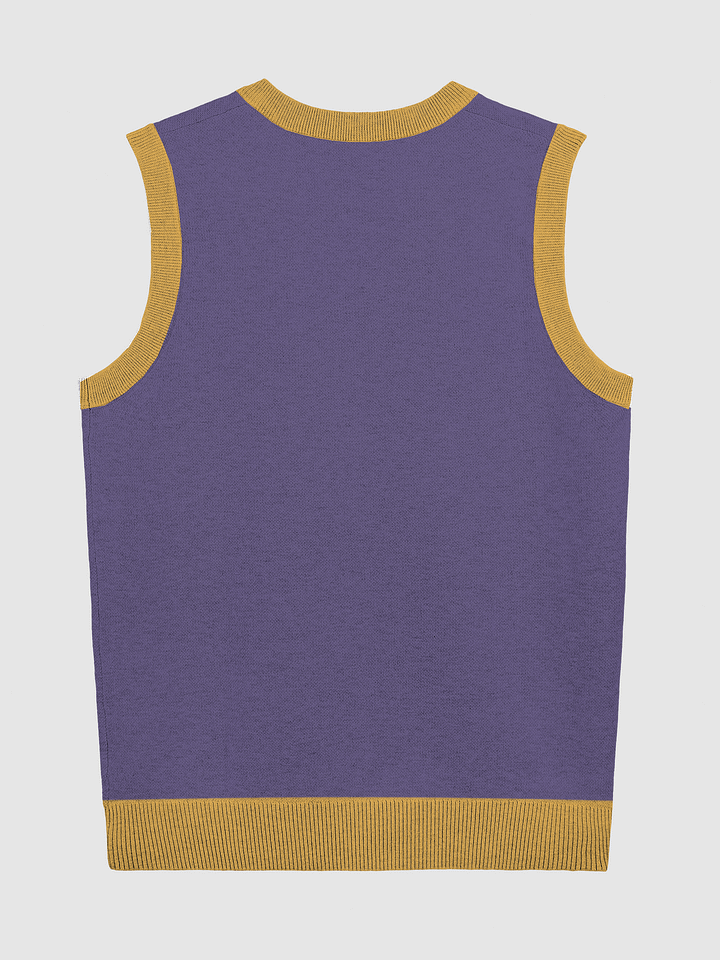 Sunlit Vibe Knitted Vest product image (9)