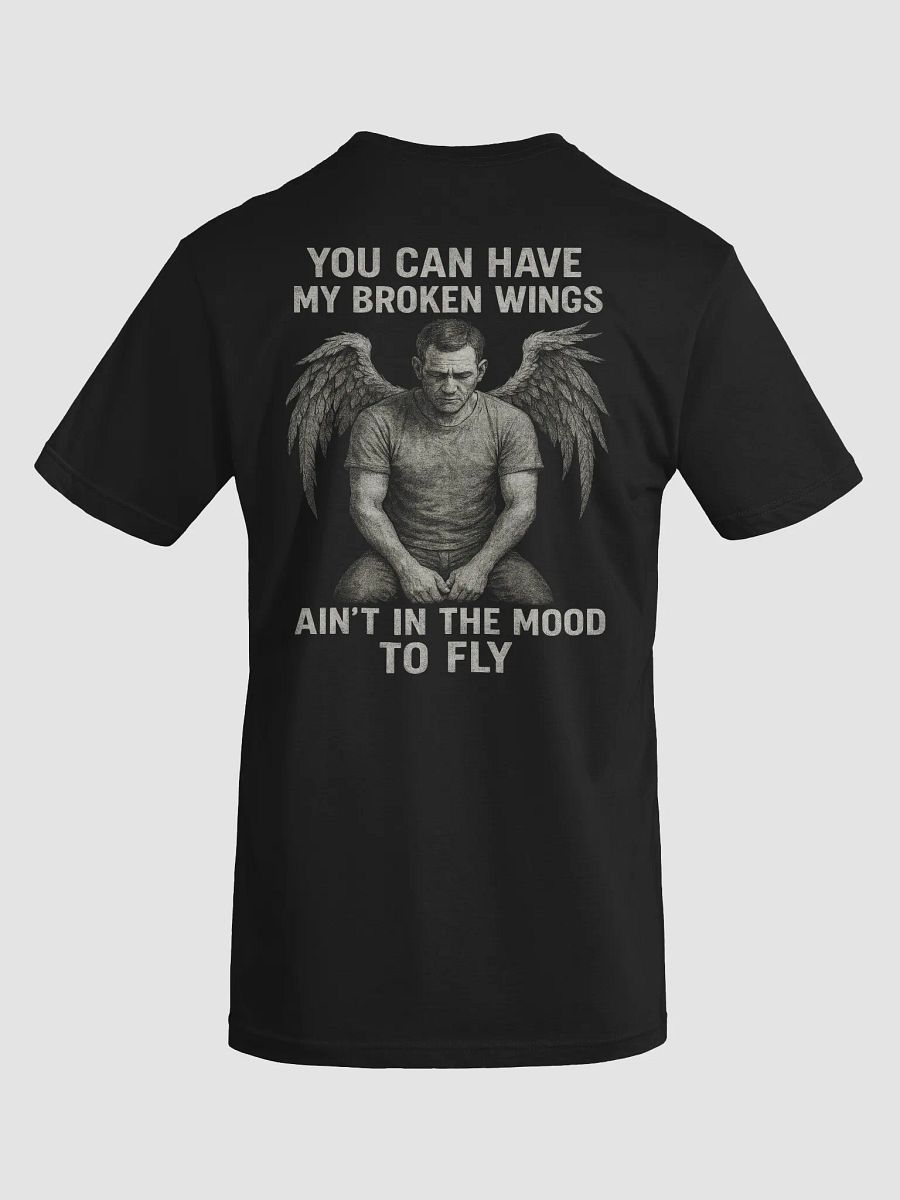 Ain't In The Mood To Fly product image (4)