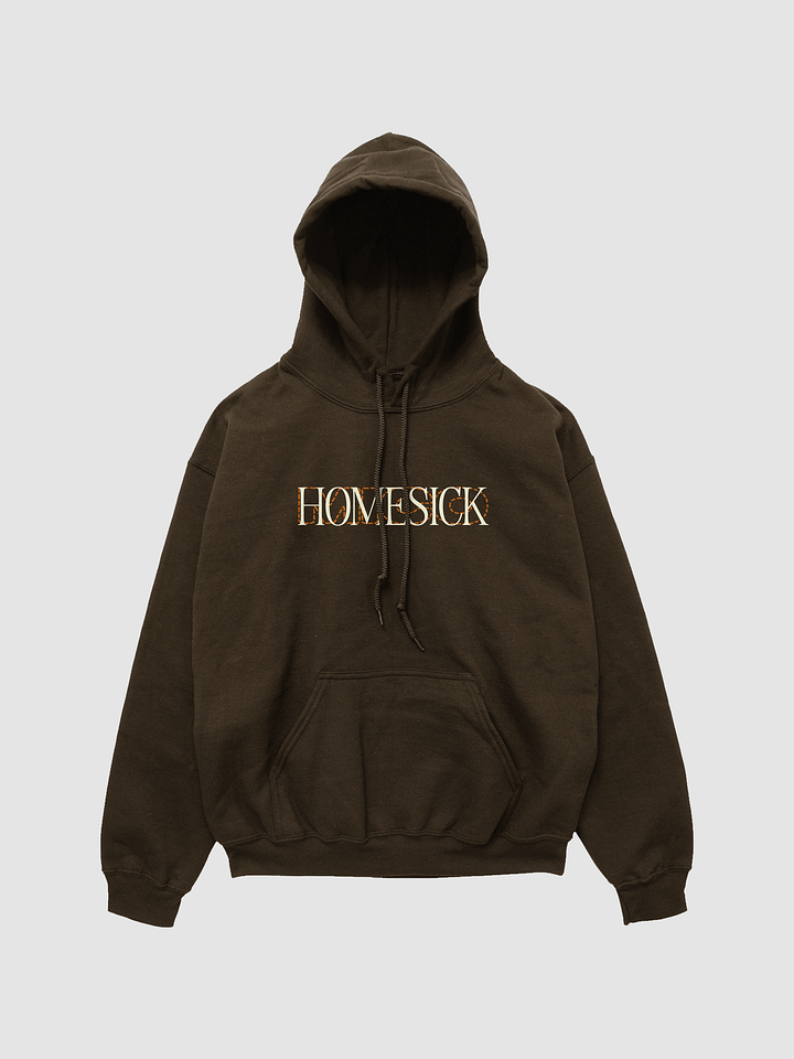 'HOMESICK' hoodie product image (1)