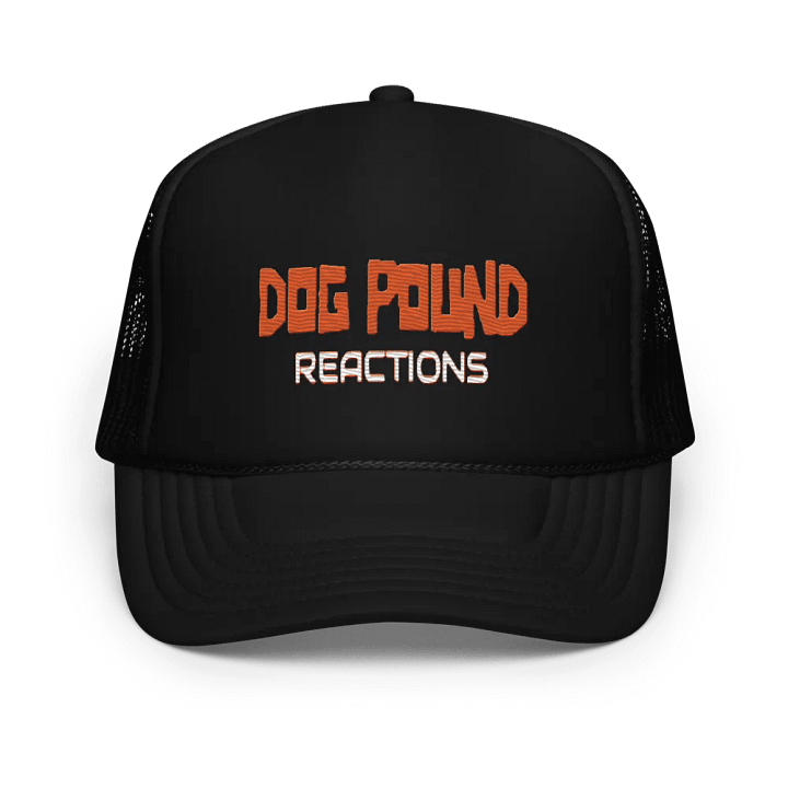 DPR Logo Hat product image (1)